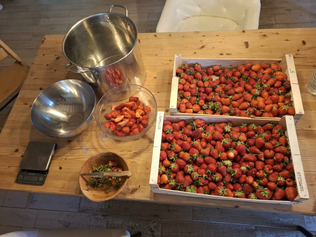 plateau de fraises bio extra mûres pour confiture